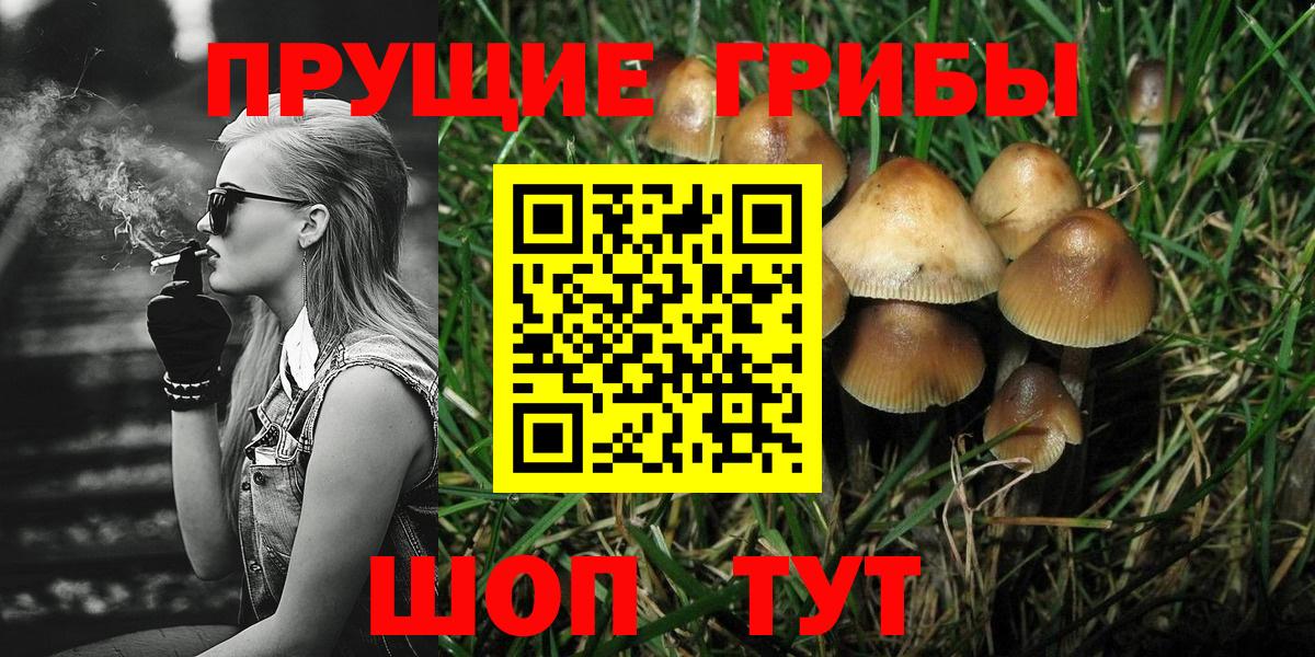 Белая Калитва  Псилоцибиновые грибы GOLDEN TEACHER  Псилоцибиновые грибы мухоморы  Вход с VPN 